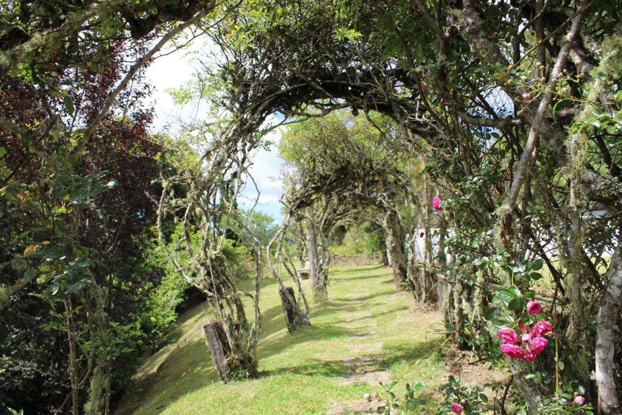 Acomodação com café da manhã  Alto Da Bella Vista *