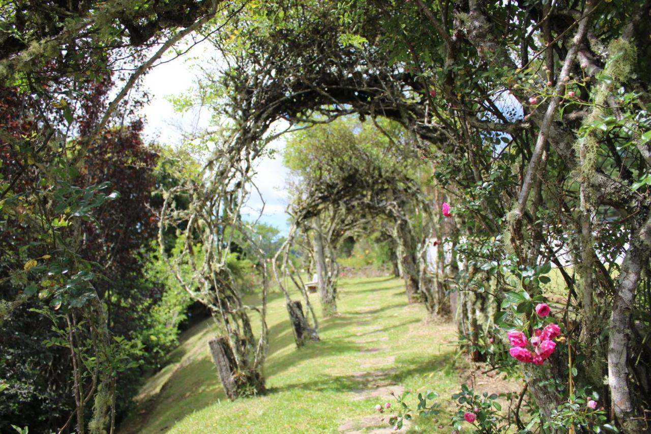 Acomodação com café da manhã  Alto Da Bella Vista