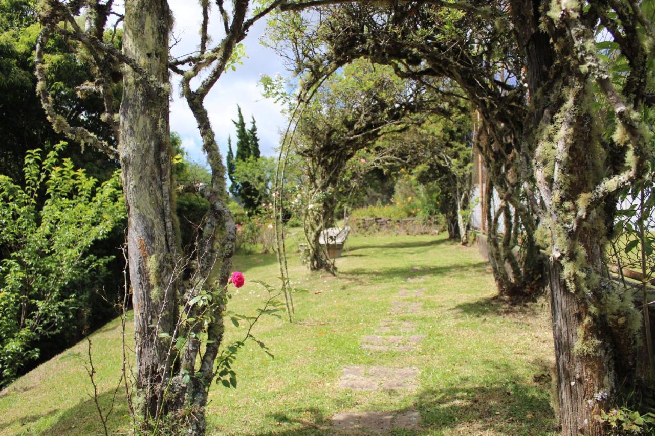 Acomodação com café da manhã  Alto Da Bella Vista *
